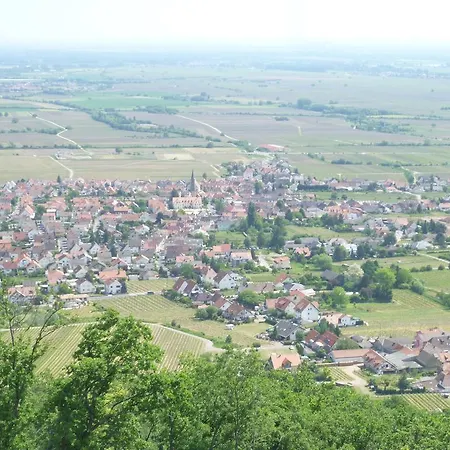 Rebstockel Gastehaus Weinhof & Vinothek Нойштадт-ан-дер-Вайнштрасе
