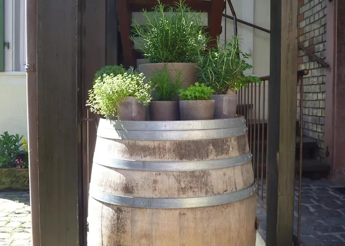 Rebstockel Gastehaus Weinhof & Vinothek Konukevi Neustadt an der Weinstraße